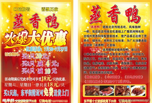 蒸香鸭促销传单设计图